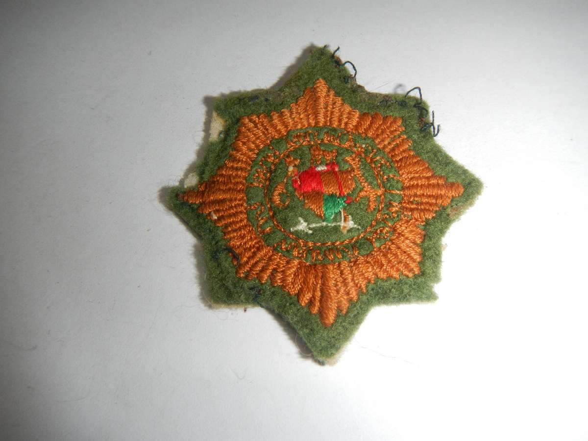 SAP camouflage field dress cap badge - condition as photos