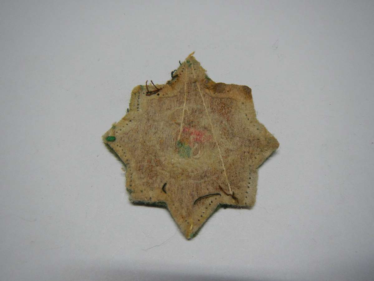 SAP camouflage field dress cap badge - condition as photos