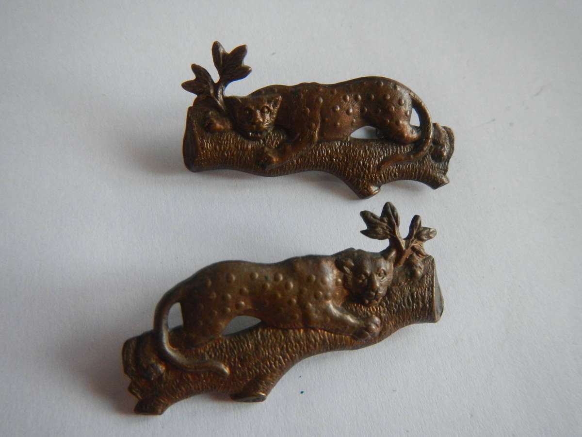 First City pair collar badges