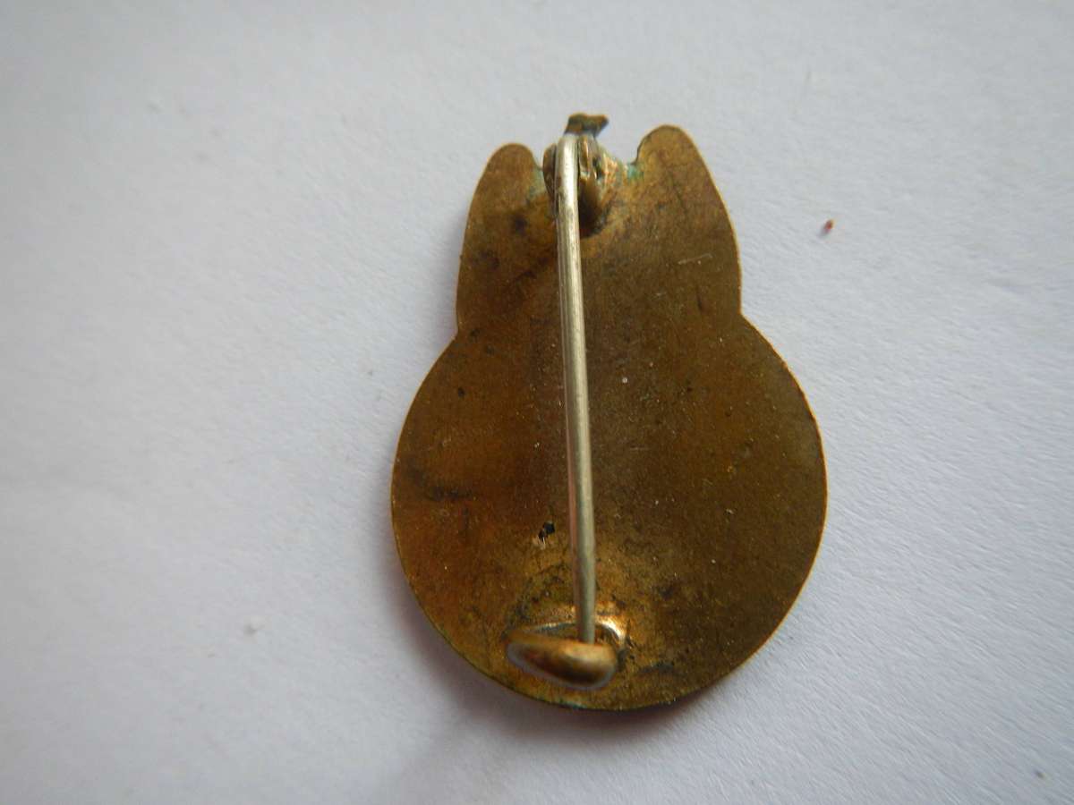 Ossewa brandwag membership badge #1