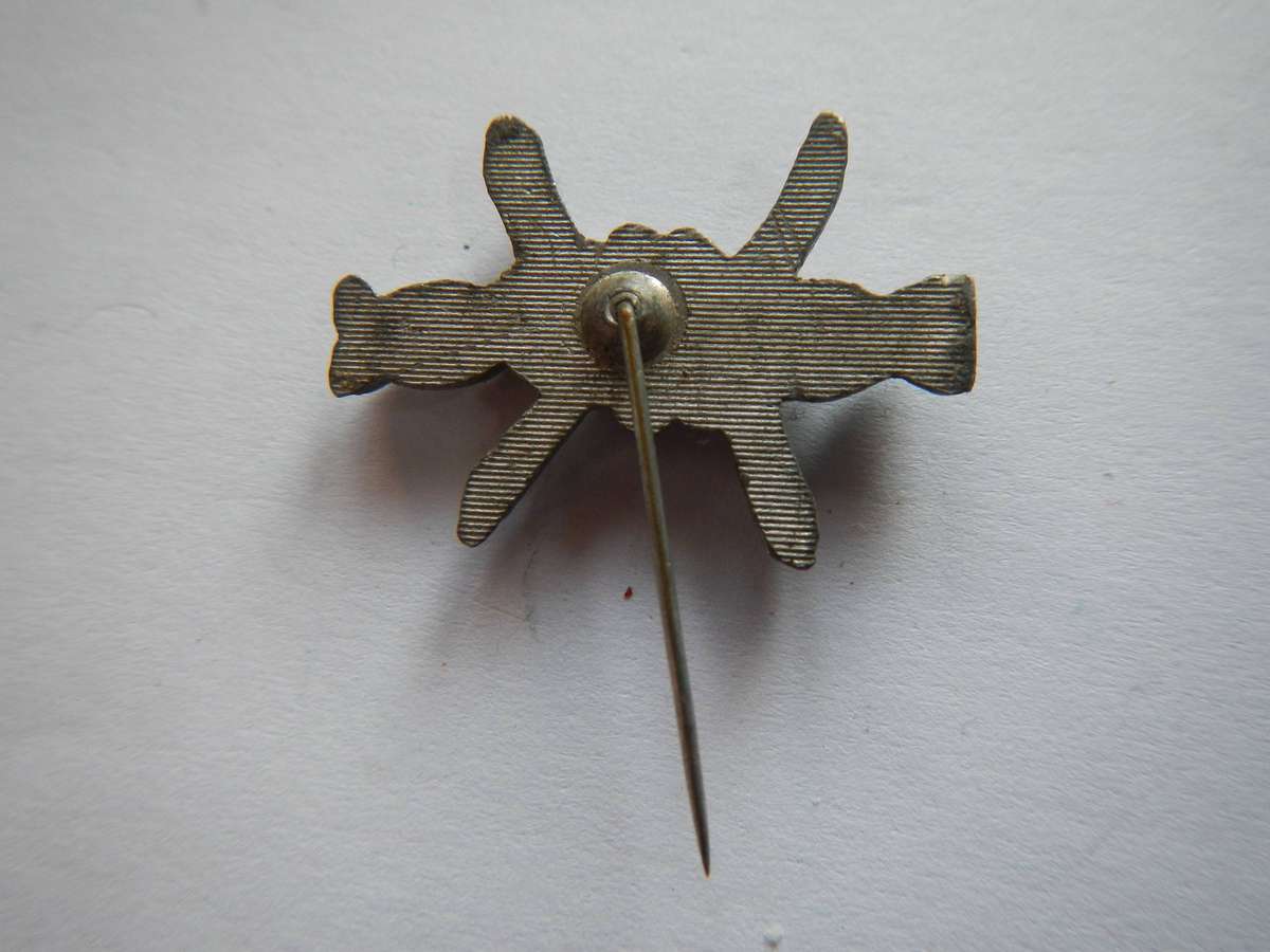 Ossewa brandwag barbed wire Koffiefontein lapel badge #4