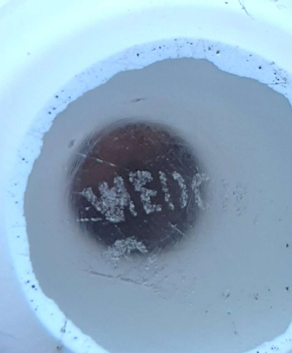 WEDGWOOD GLASS MUSHROOM SHAPED PAPERWEIGHT