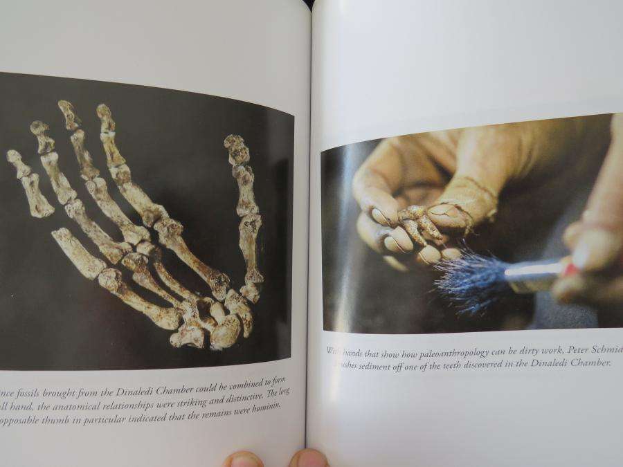 Almost Human - Lee Berger