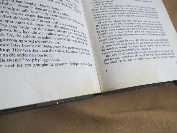 Die Buiter Ry Snags - Gerrie Radlof