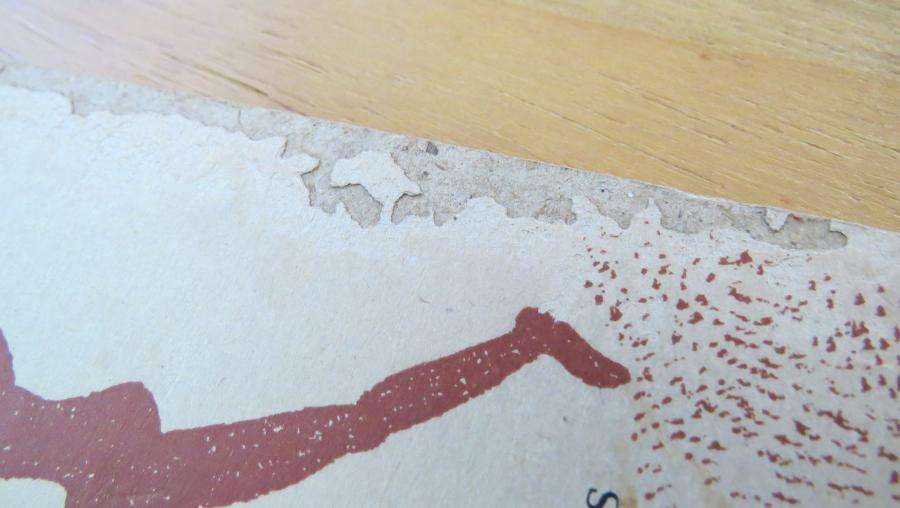 Bushman Stories - E. W. Thomas