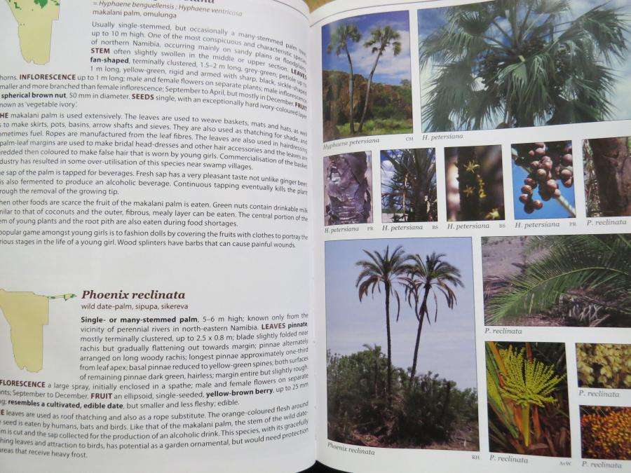 Le Roux and Mullers Field Guide to the Trees & Shrubs of Namibia