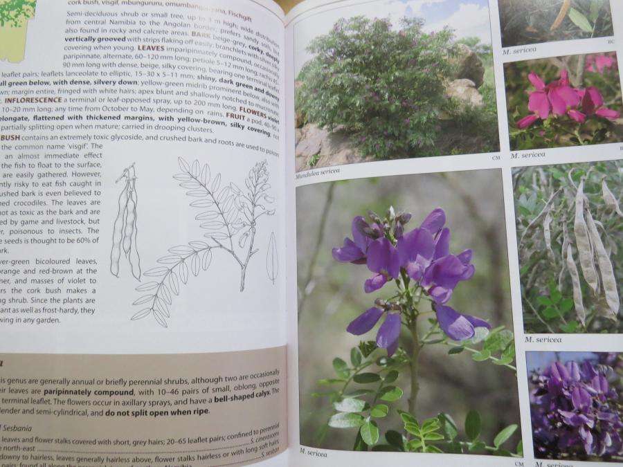 Le Roux and Mullers Field Guide to the Trees & Shrubs of Namibia