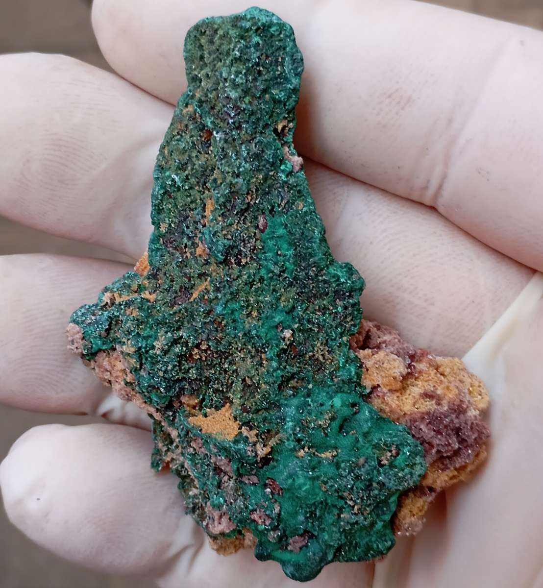 Malachite pseudomorph after baryte - Kolwezi mining district DRC Congo