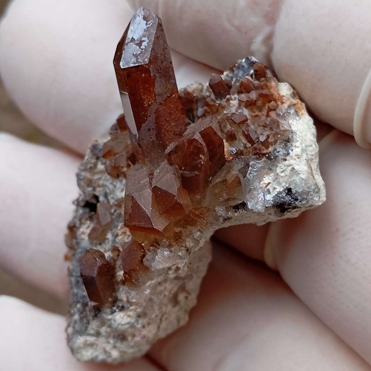 Hematite in quartz - Orange River N Cape South Africa
