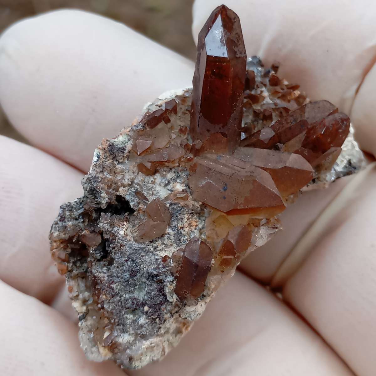 Hematite in quartz - Orange River N Cape South Africa