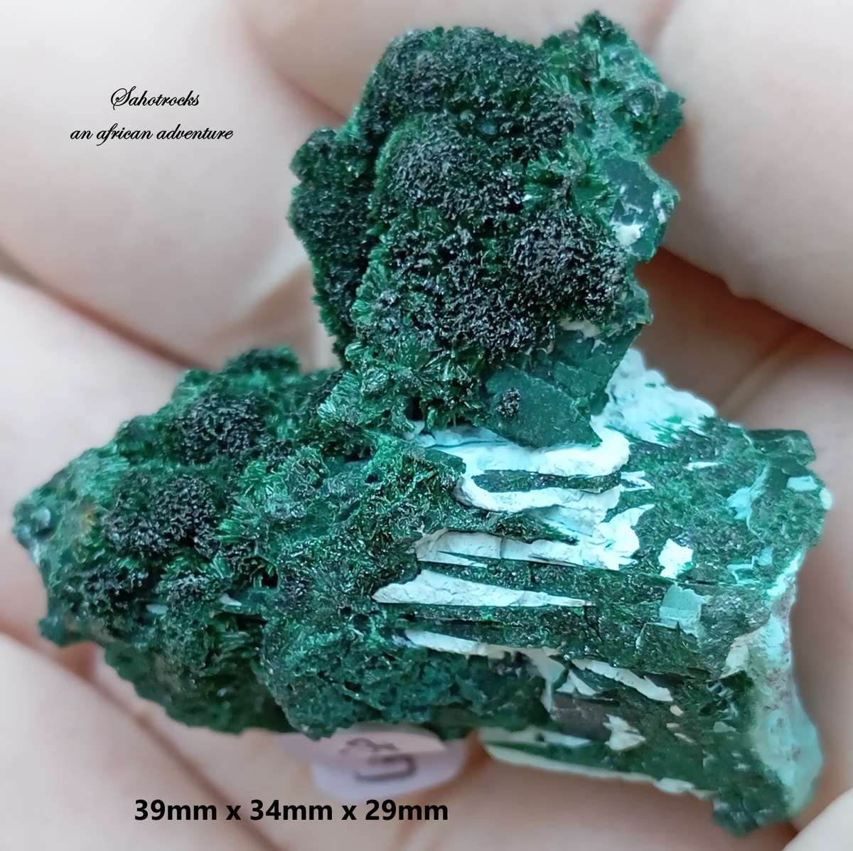 Malachite chrysocolla - Mashamba West mine DRC Congo