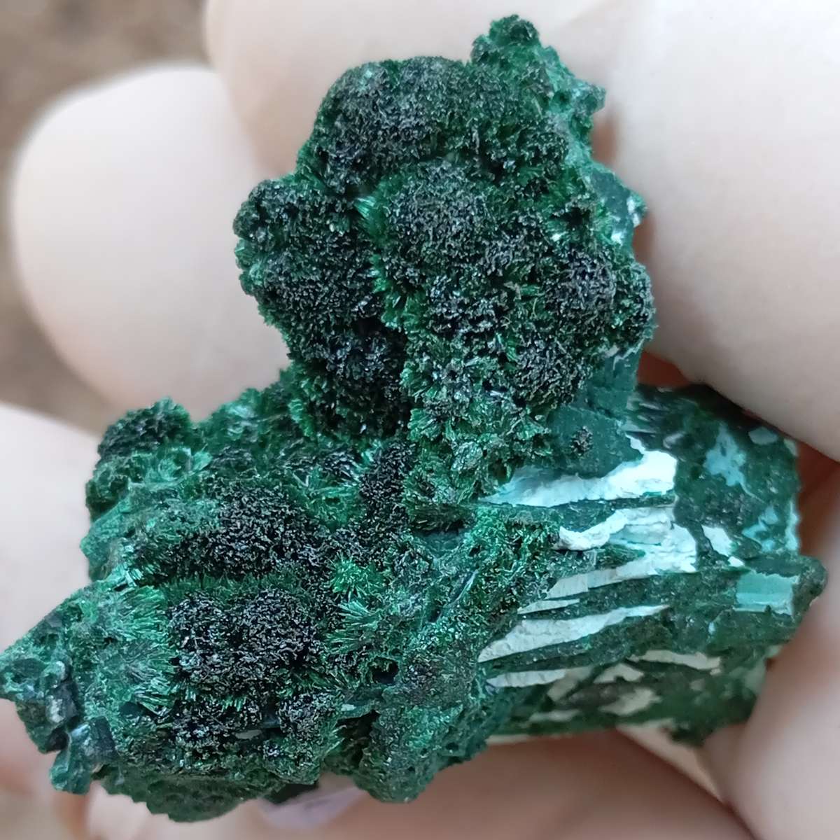 Malachite chrysocolla - Mashamba West mine DRC Congo
