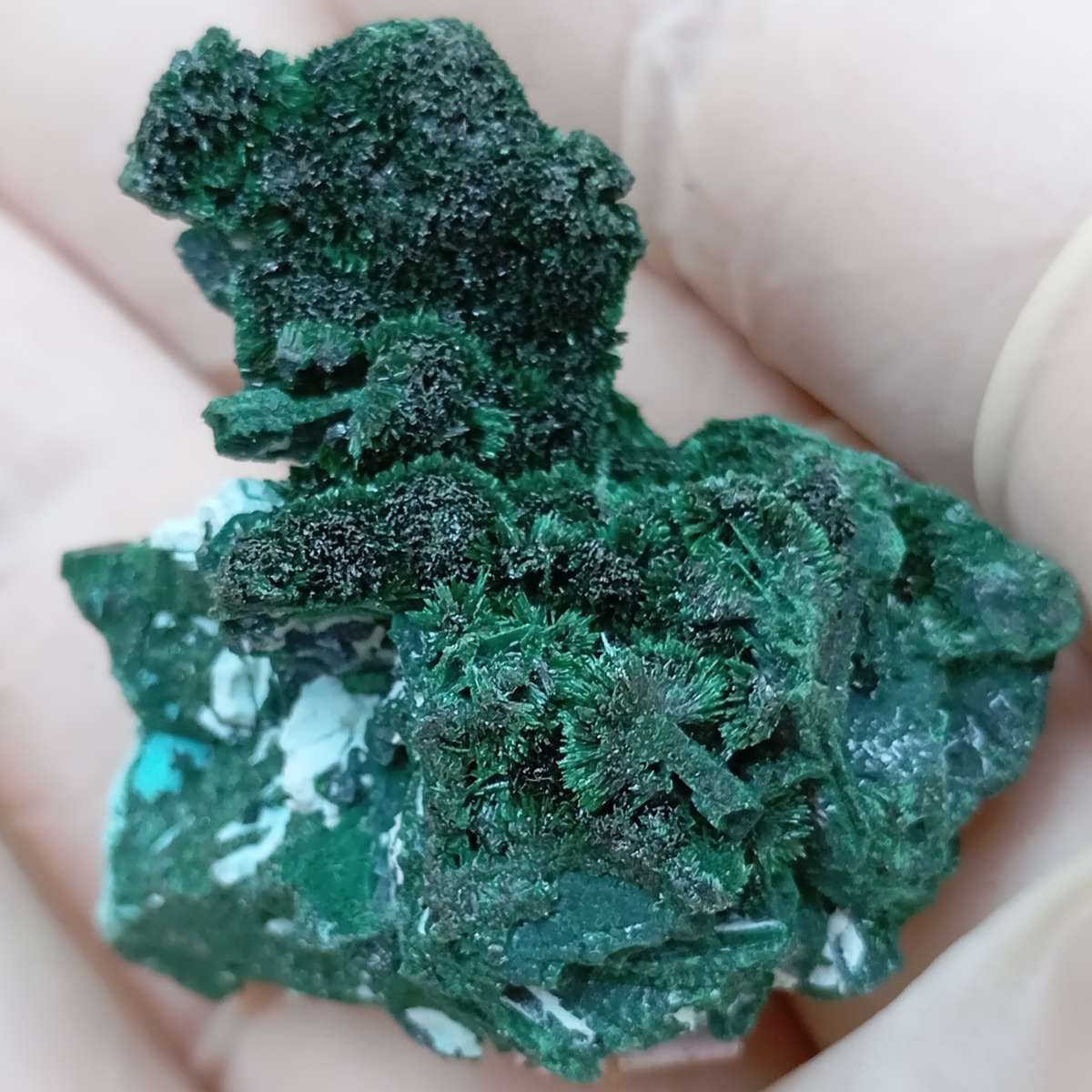Malachite chrysocolla - Mashamba West mine DRC Congo