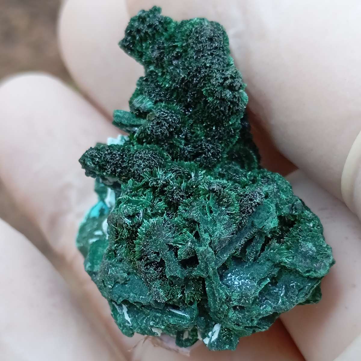 Malachite chrysocolla - Mashamba West mine DRC Congo