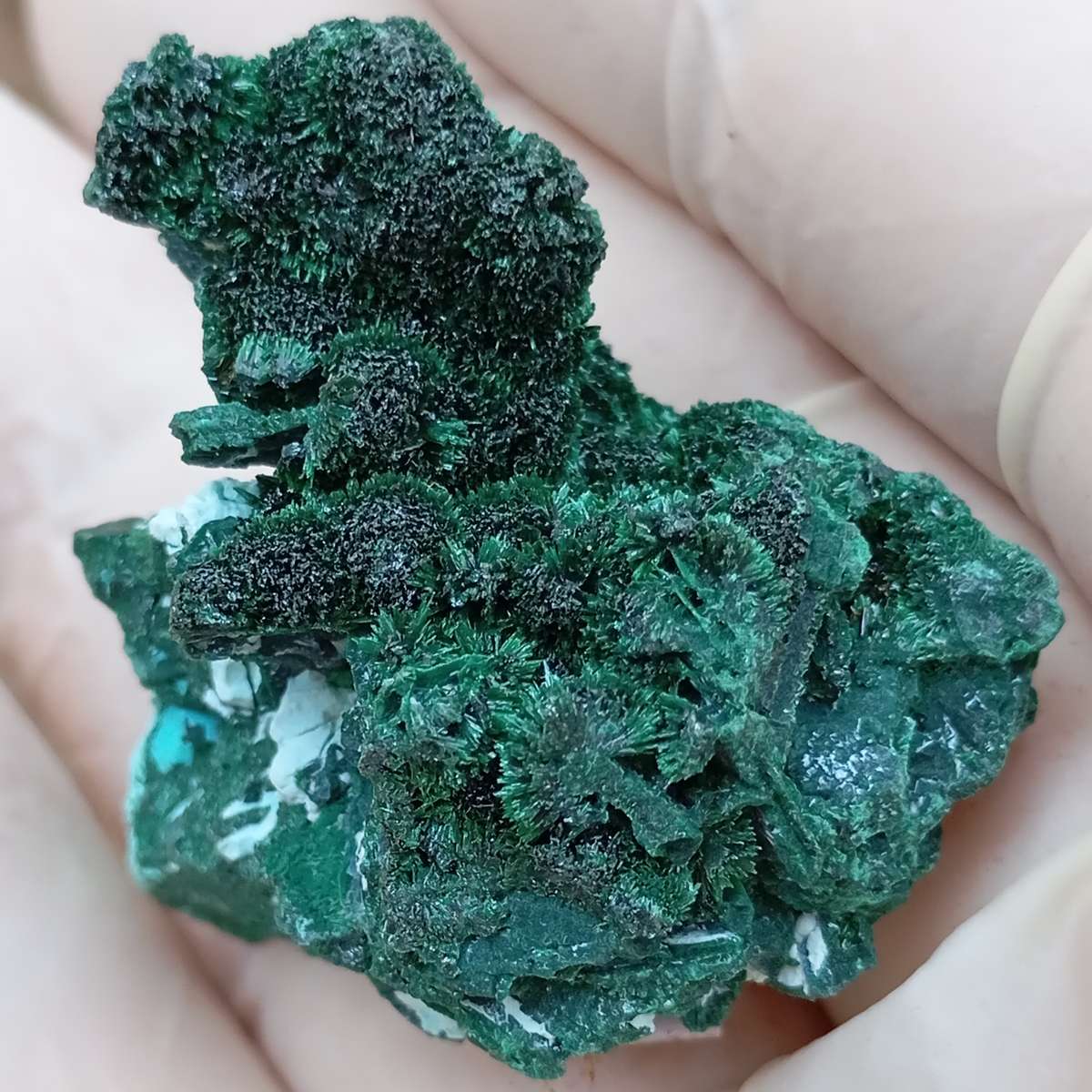 Malachite chrysocolla - Mashamba West mine DRC Congo