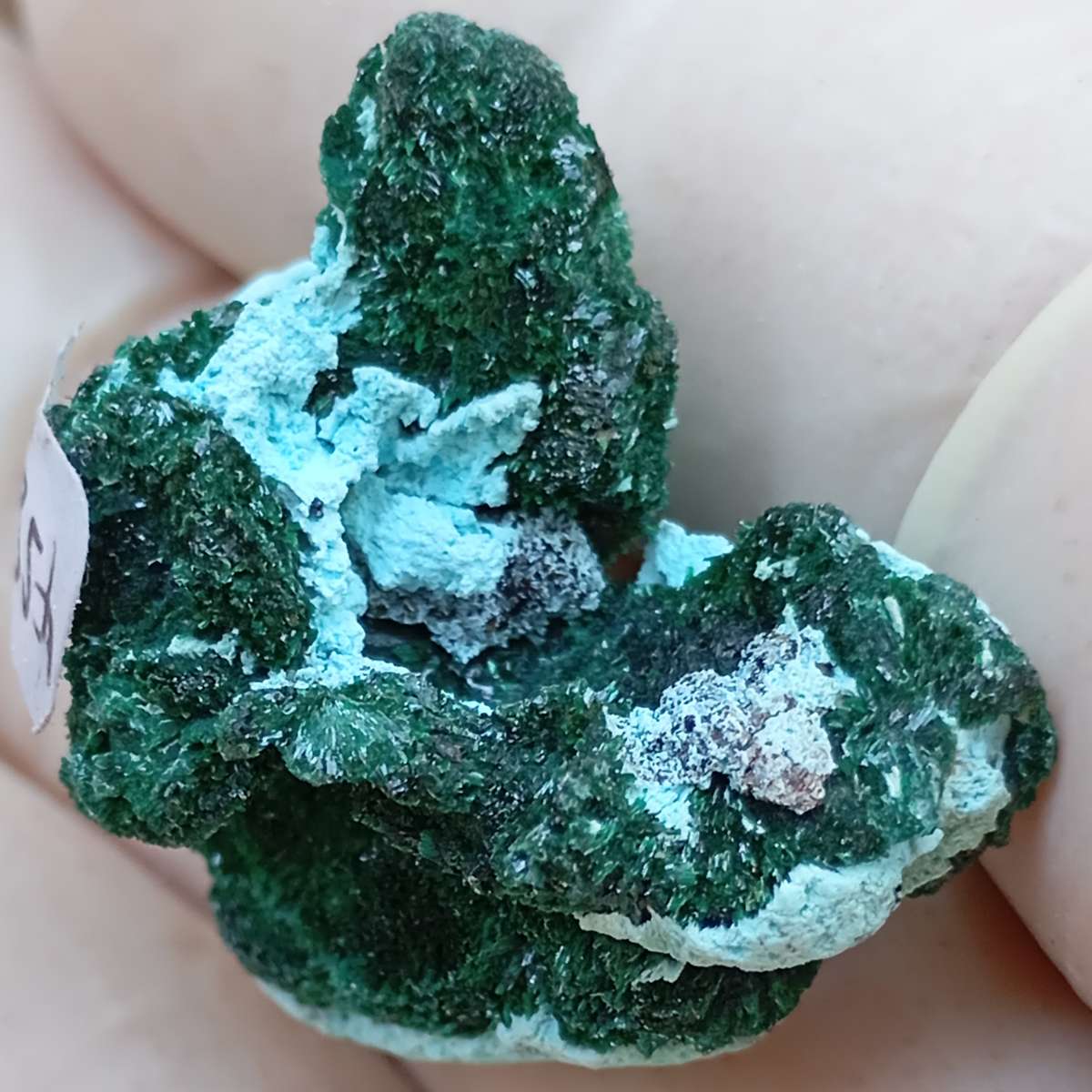 Malachite chrysocolla - Kakanda deposit DRC Congo