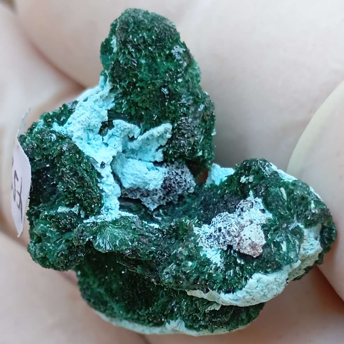 Malachite chrysocolla - Kakanda deposit DRC Congo