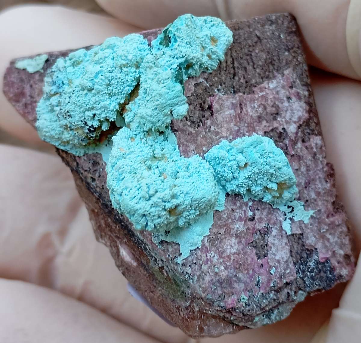Cobaltoan calcite chrysocolla malachite heterogenite- Kakanda deposit DRC Congo