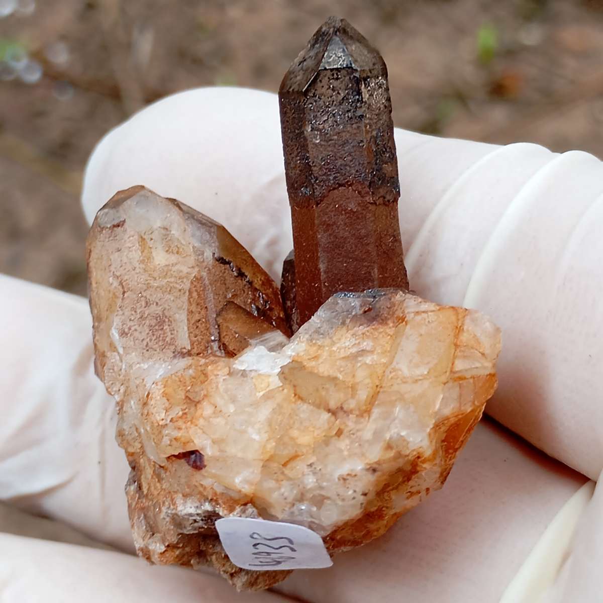 Hematite in quartz - Orange River N Cape South Africa