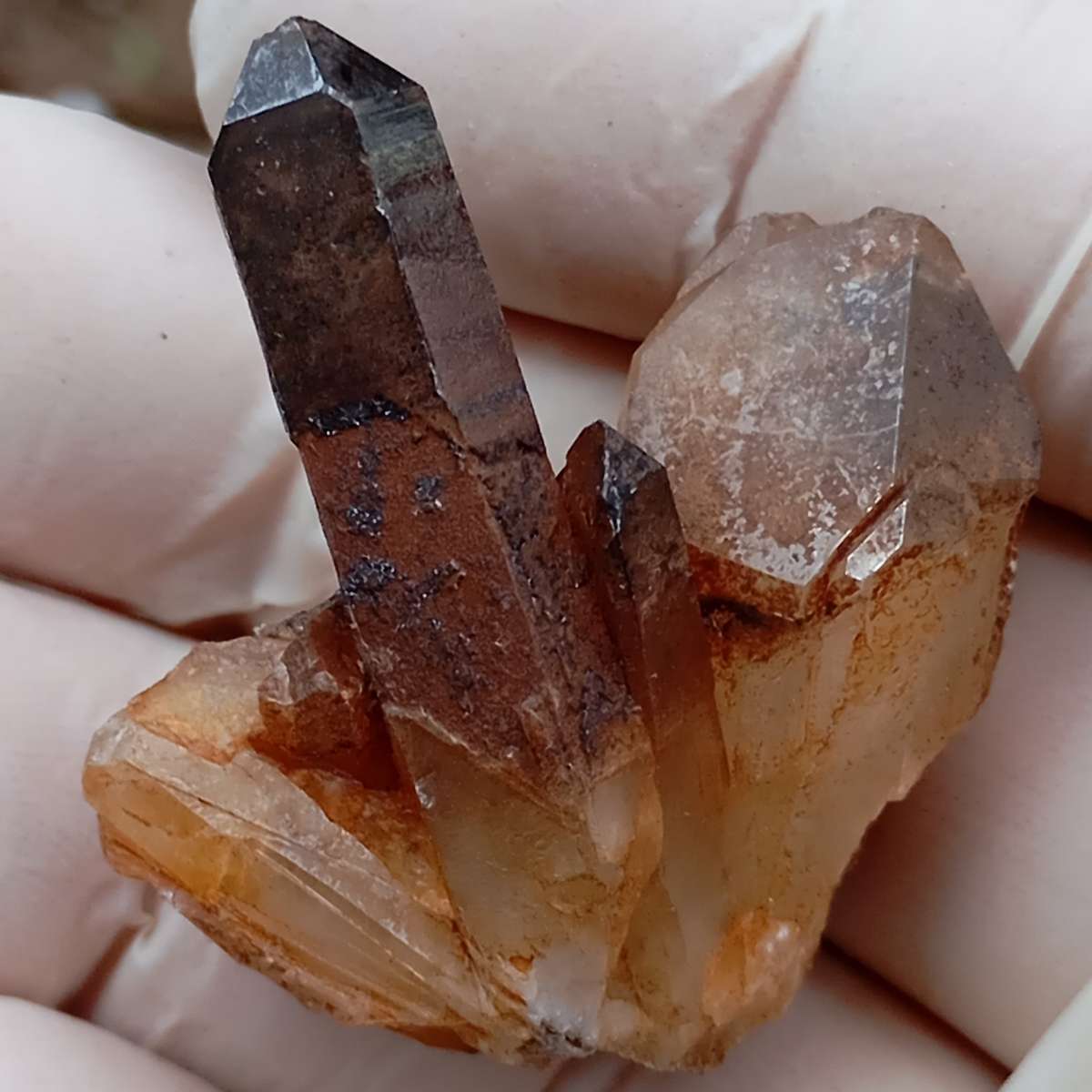 Hematite in quartz - Orange River N Cape South Africa