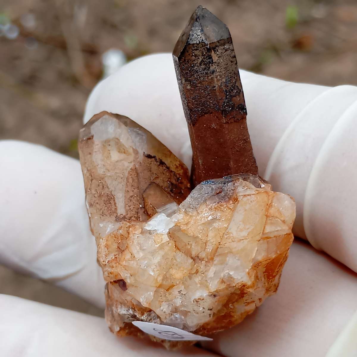 Hematite in quartz - Orange River N Cape South Africa