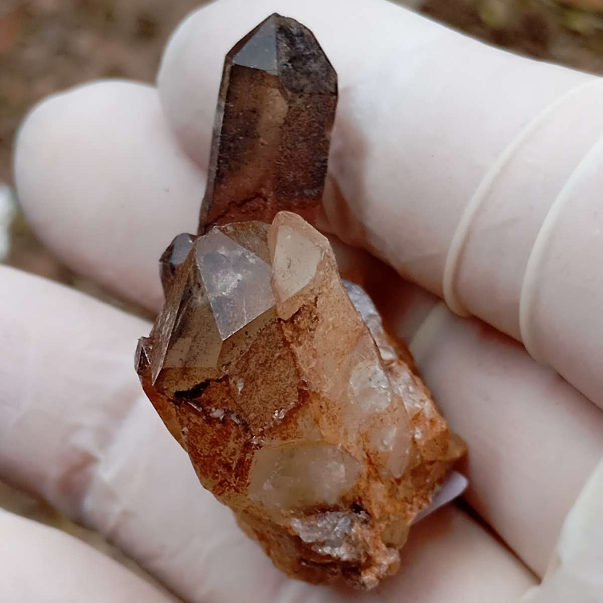 Hematite in quartz - Orange River N Cape South Africa