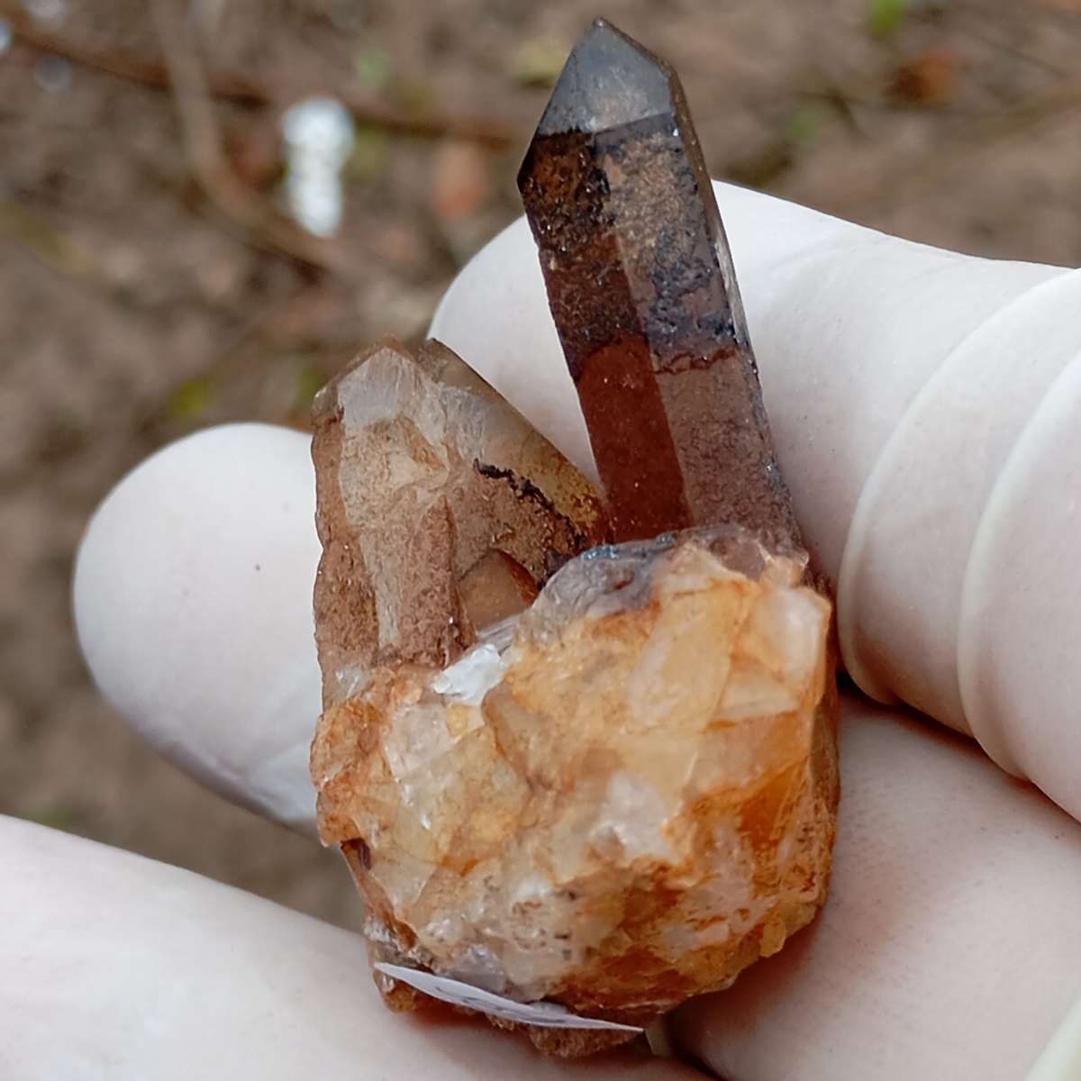 Hematite in quartz - Orange River N Cape South Africa