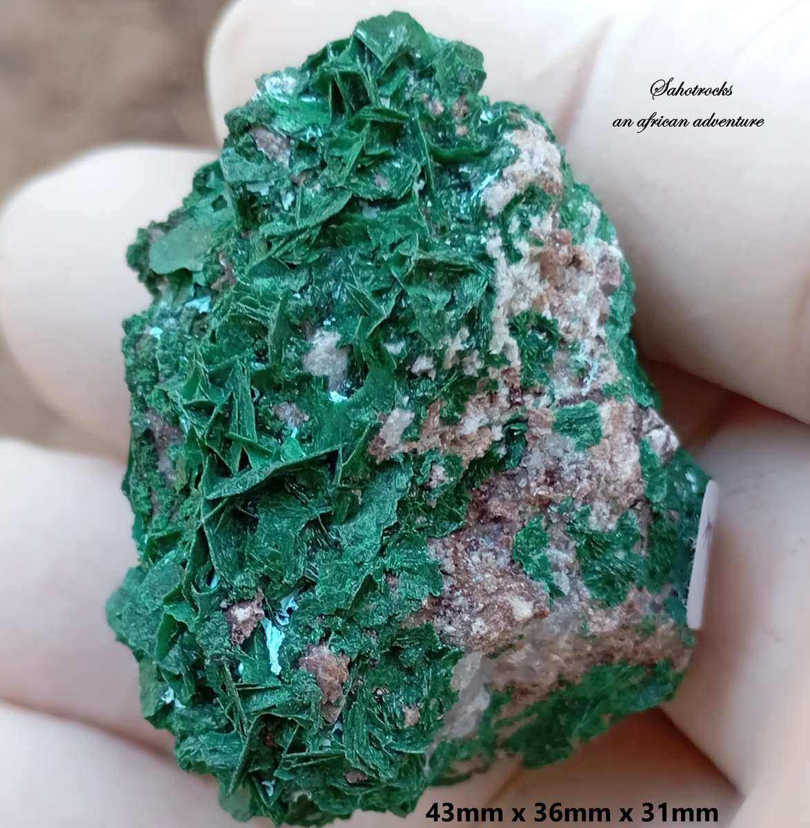 Malachite chrysocolla quartz - Mashamba West mine DRC Congo
