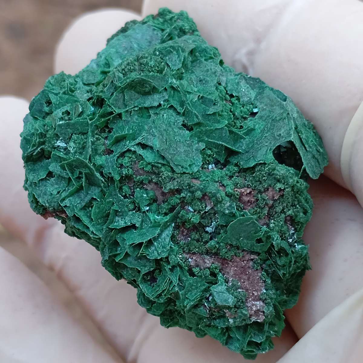 Malachite chrysocolla quartz - Mashamba West mine DRC Congo