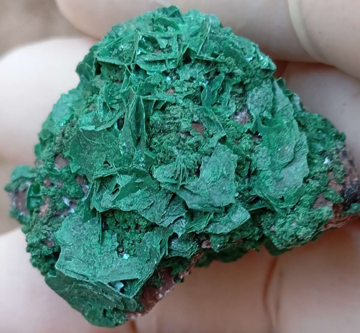 Malachite chrysocolla quartz - Mashamba West mine DRC Congo