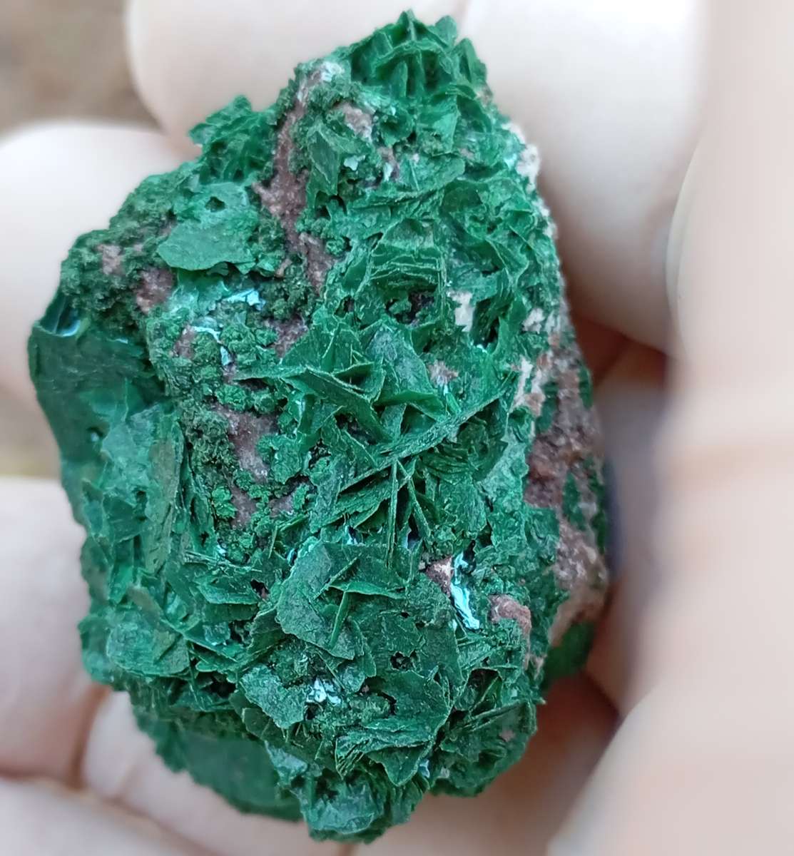 Malachite chrysocolla quartz - Mashamba West mine DRC Congo