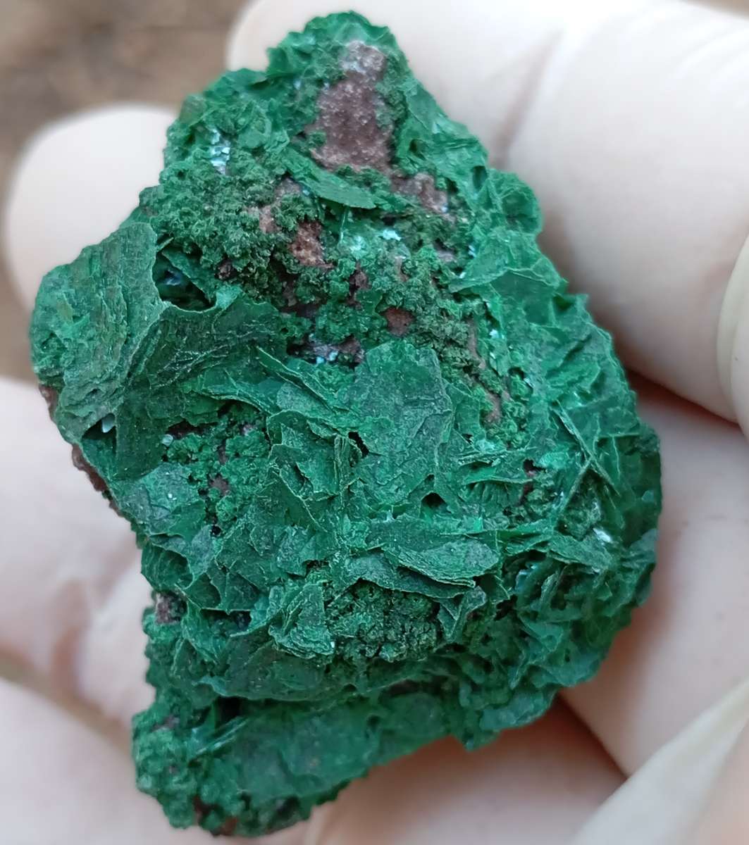 Malachite chrysocolla quartz - Mashamba West mine DRC Congo