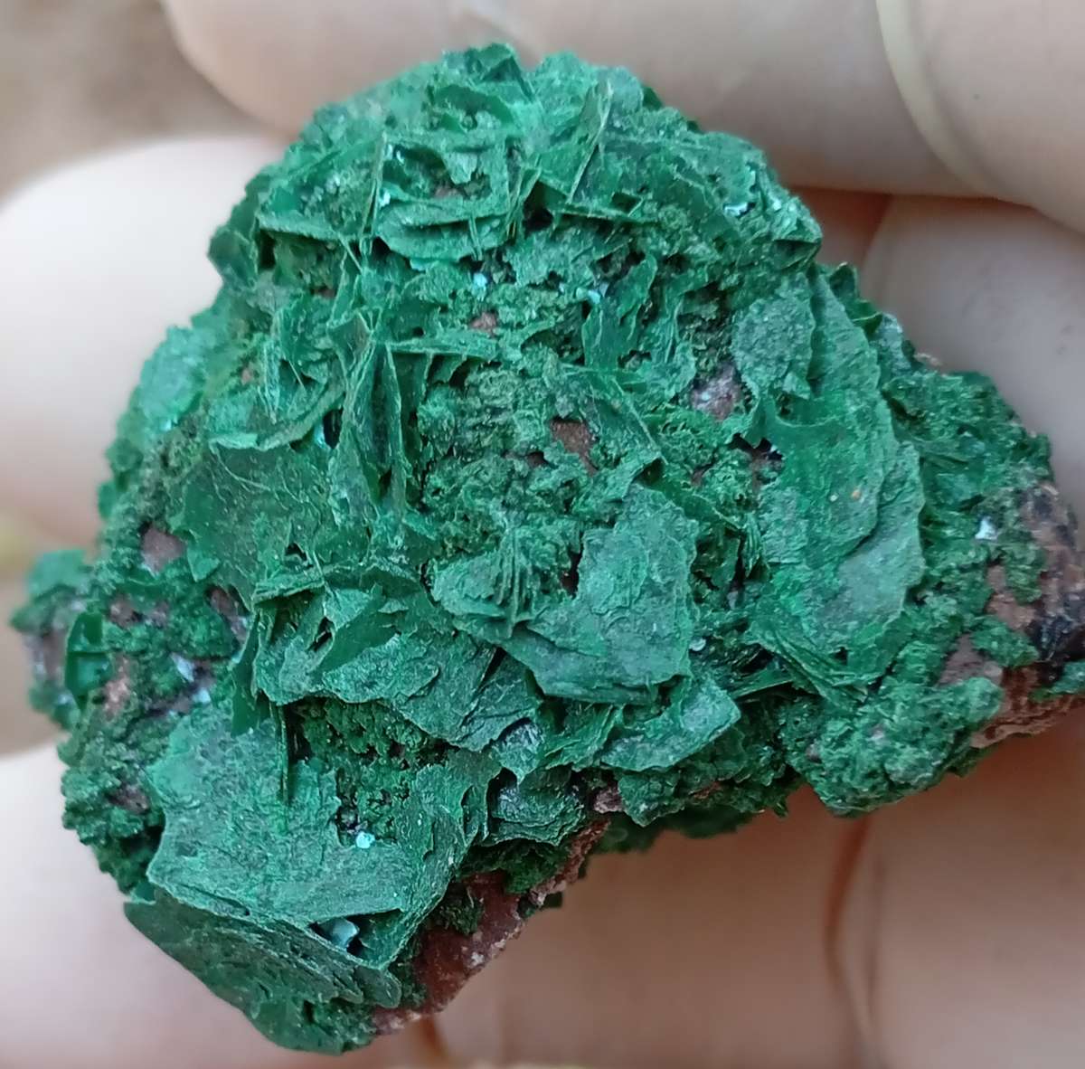 Malachite chrysocolla quartz - Mashamba West mine DRC Congo