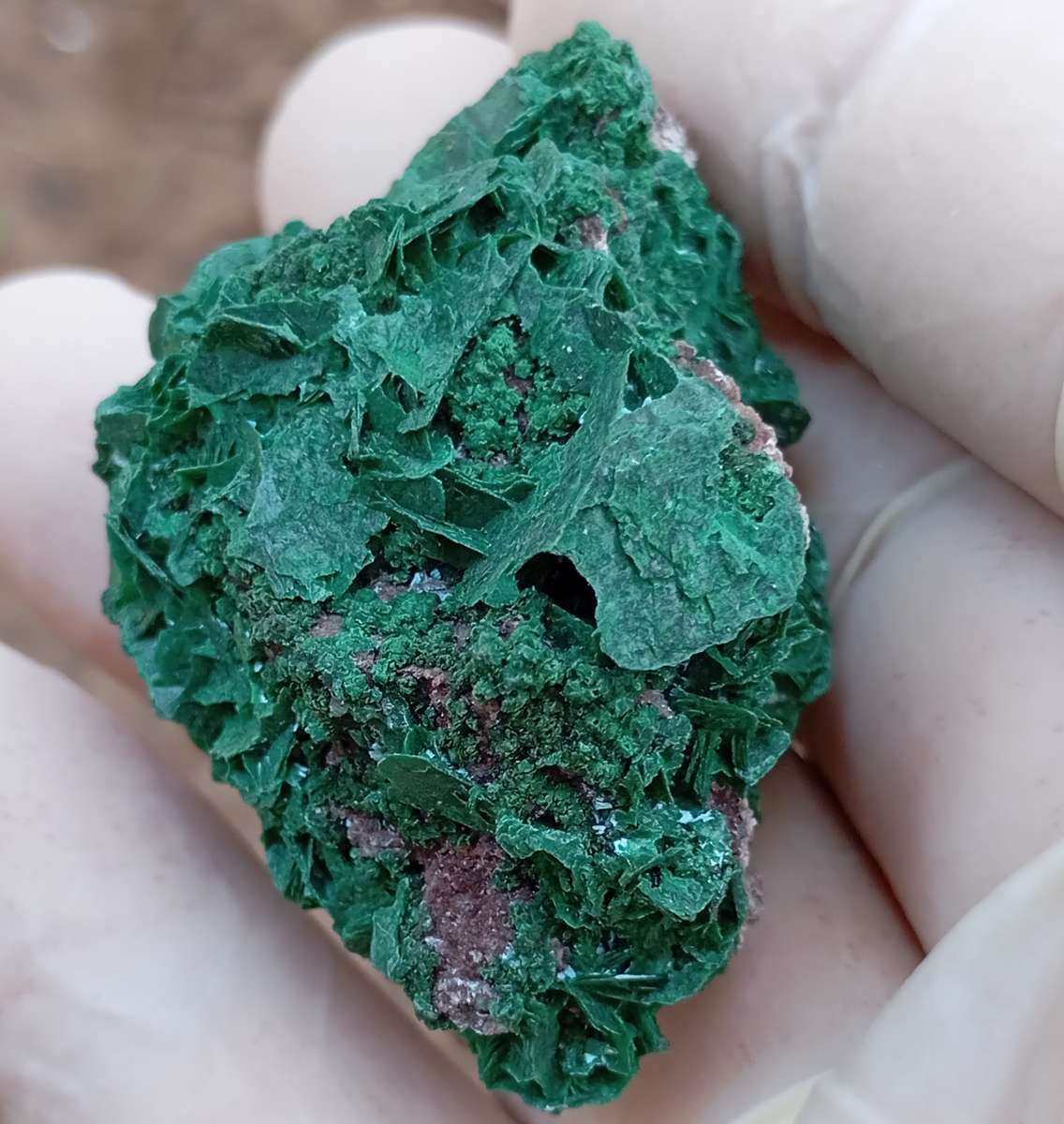 Malachite chrysocolla quartz - Mashamba West mine DRC Congo