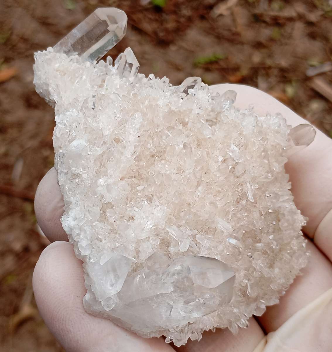 Quartz - Madagascar