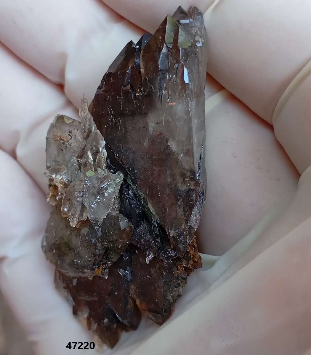 Floater aegirine illmenite feldspar quartz - Zomba Plateau Mount Malosa Malawi