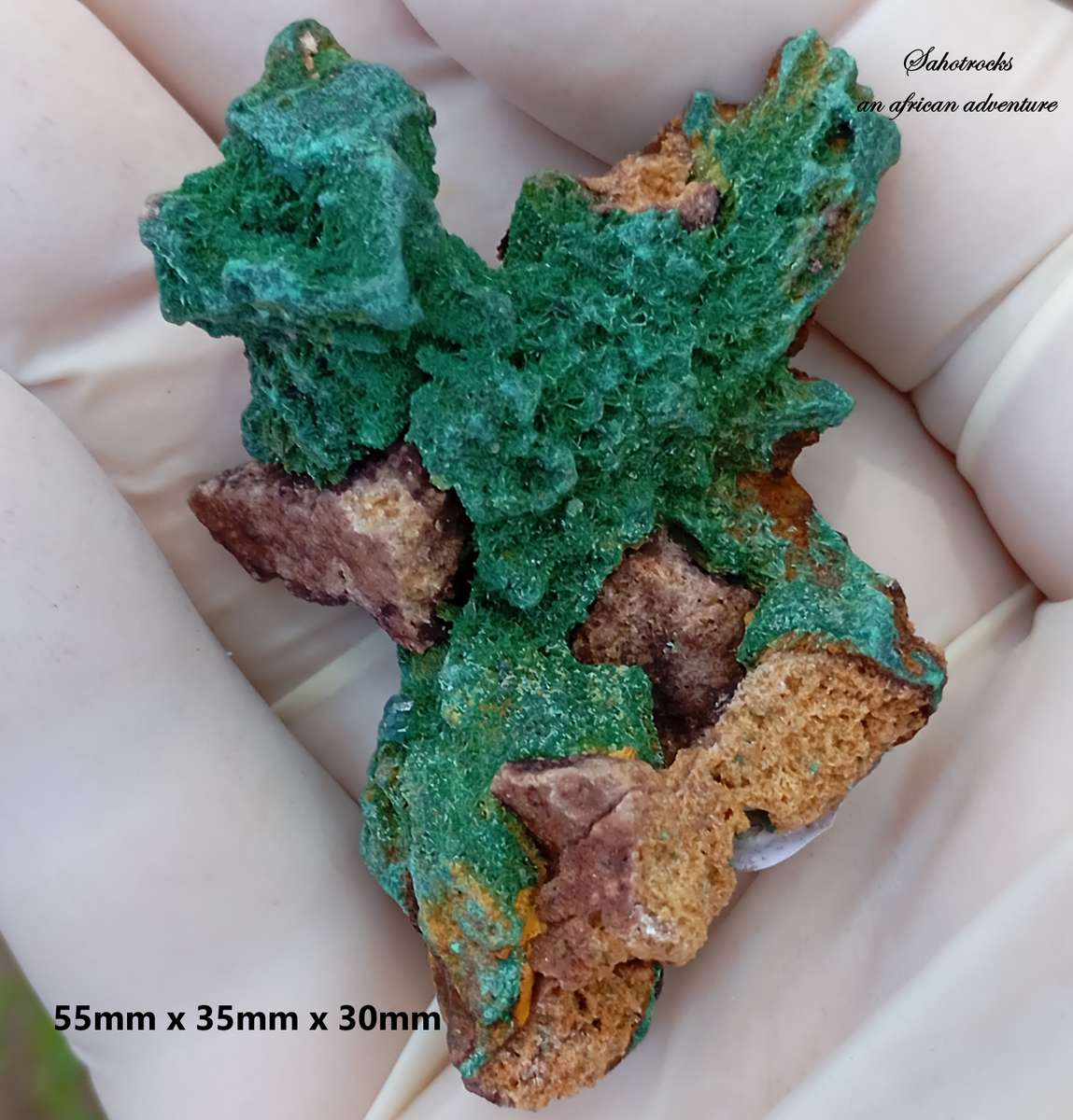 Malachite pseudomorph after baryte dioptase goethite quartz - Kolwezi mining district DRC Congo