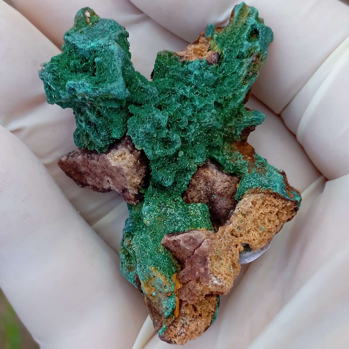 Malachite pseudomorph after baryte dioptase goethite quartz - Kolwezi mining district DRC Congo