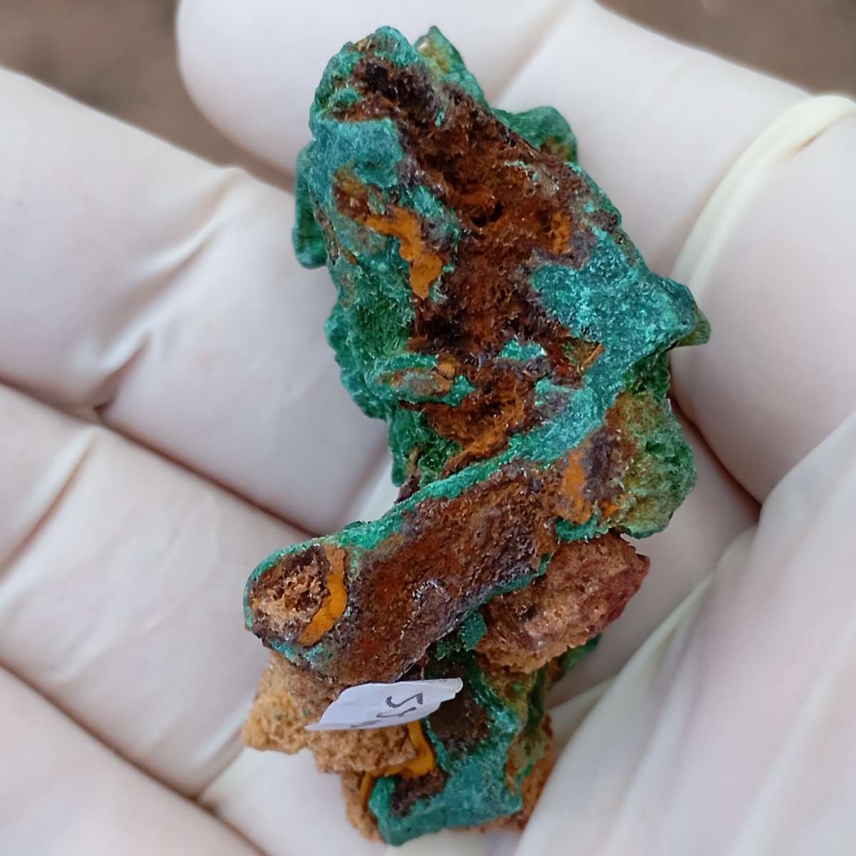 Malachite pseudomorph after baryte dioptase goethite quartz - Kolwezi mining district DRC Congo
