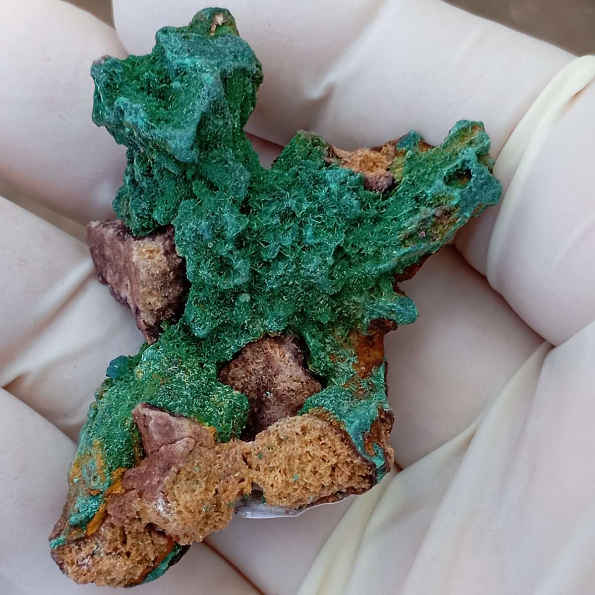 Malachite pseudomorph after baryte dioptase goethite quartz - Kolwezi mining district DRC Congo