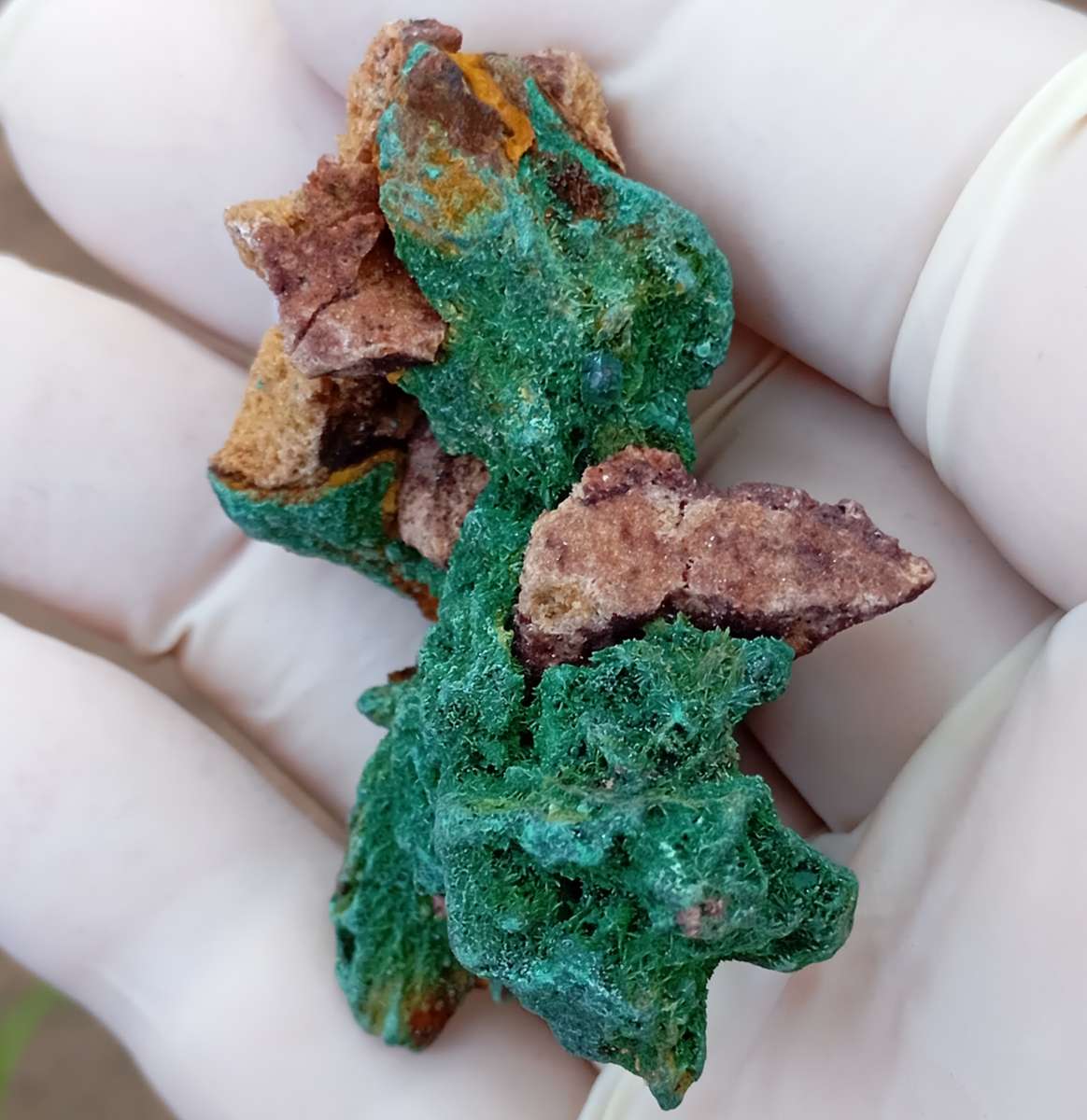 Malachite pseudomorph after baryte dioptase goethite quartz - Kolwezi mining district DRC Congo