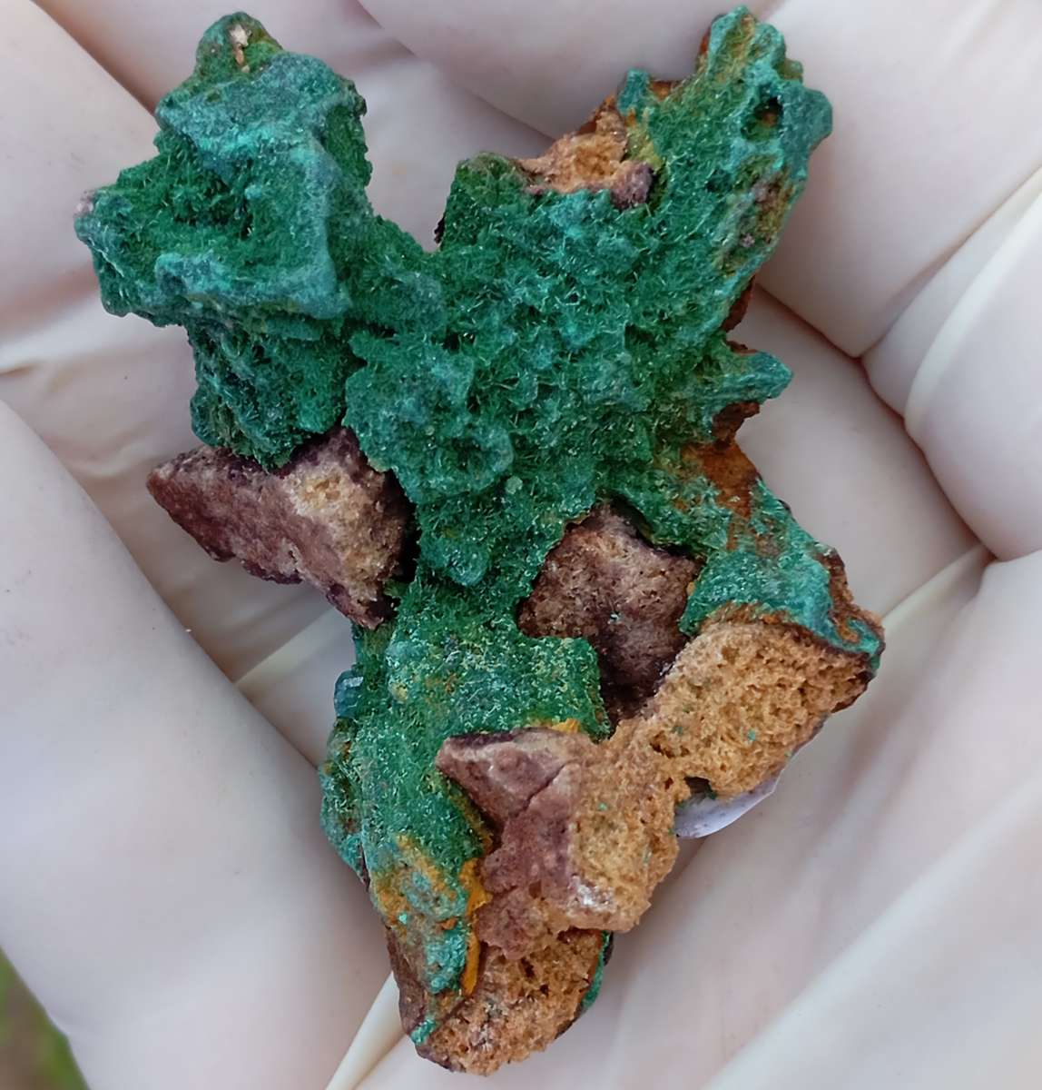 Malachite pseudomorph after baryte dioptase goethite quartz - Kolwezi mining district DRC Congo