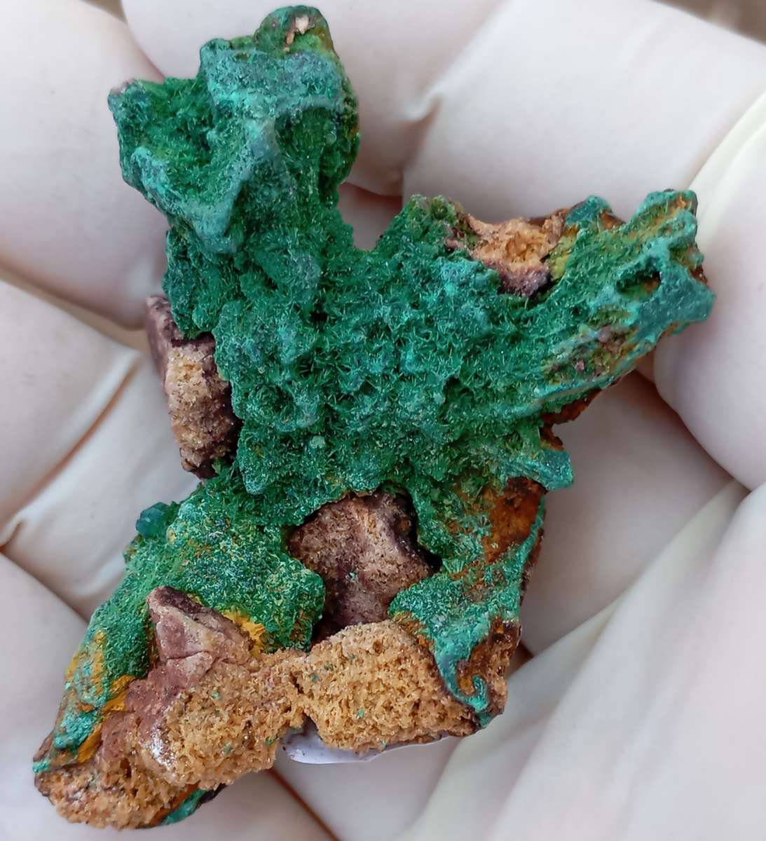 Malachite pseudomorph after baryte dioptase goethite quartz - Kolwezi mining district DRC Congo
