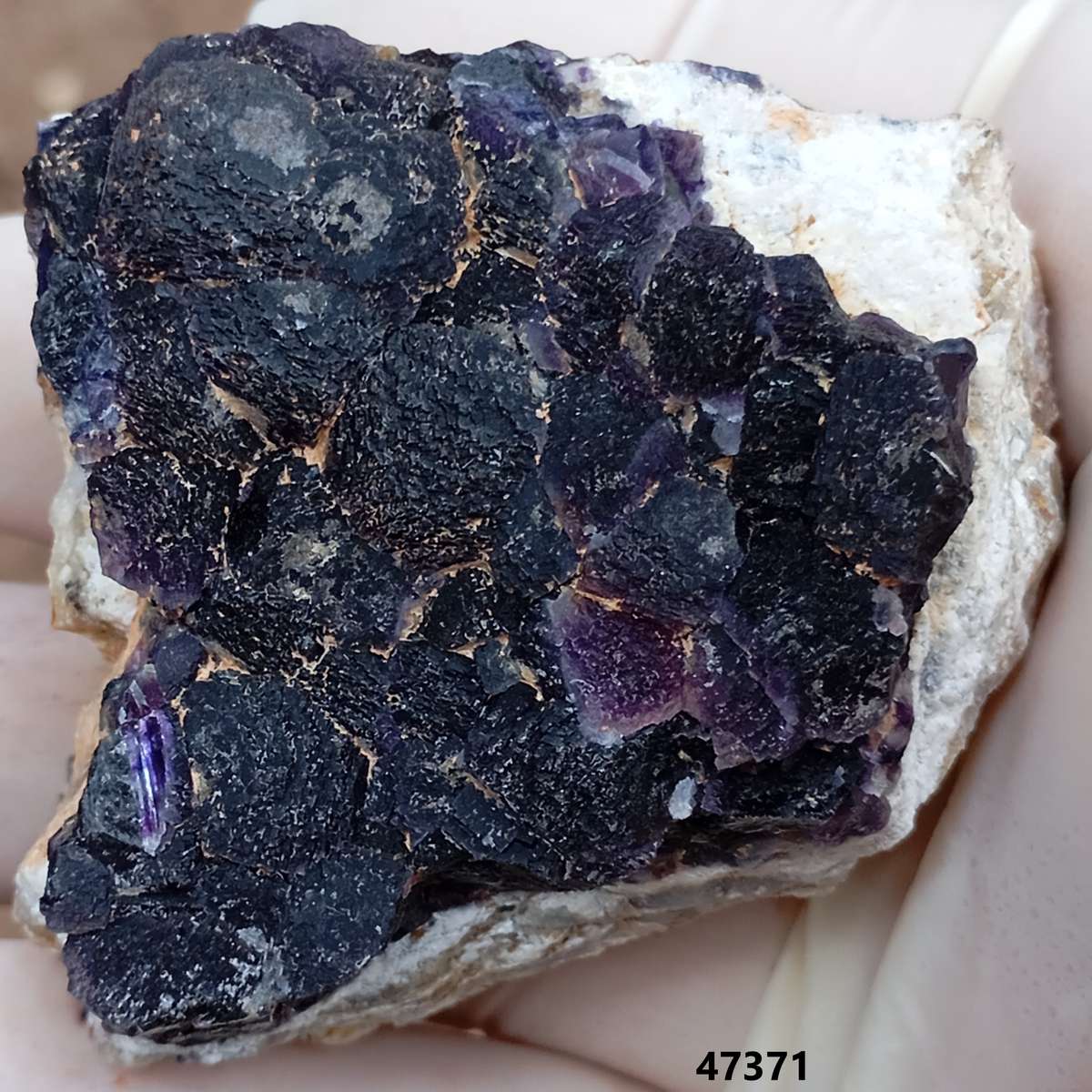 Fluorite - Orange River N Cape South Africa