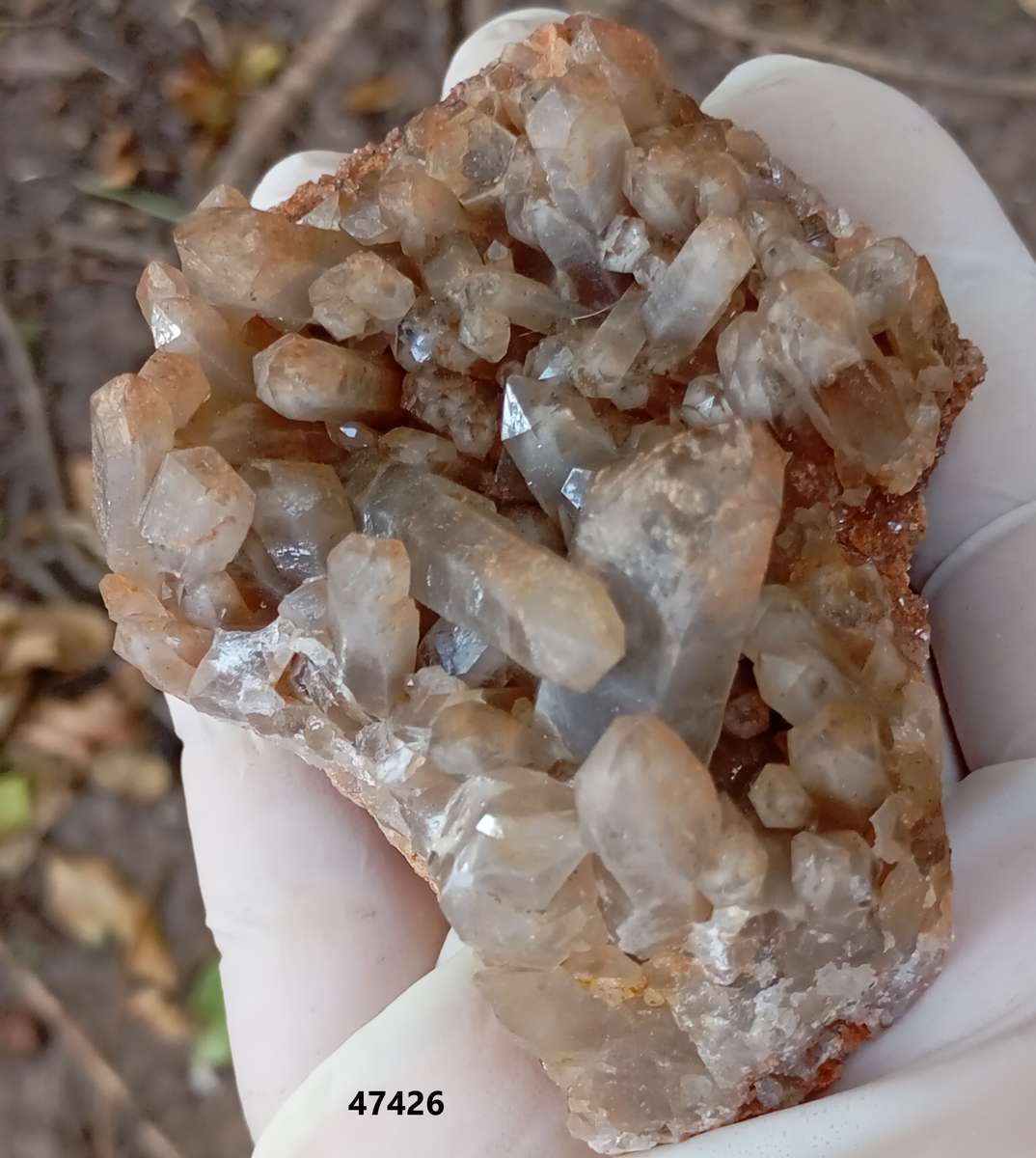 Quartz - Orange River N Cape South Africa