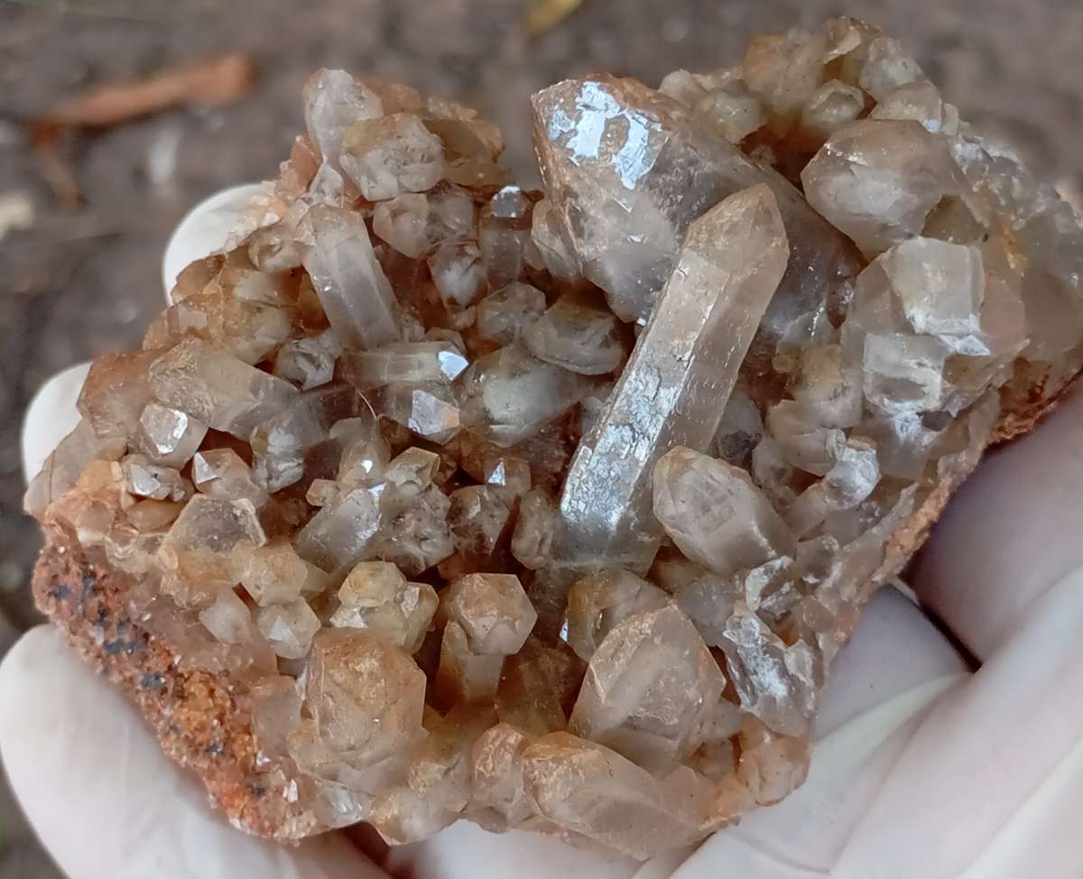 Quartz - Orange River N Cape South Africa
