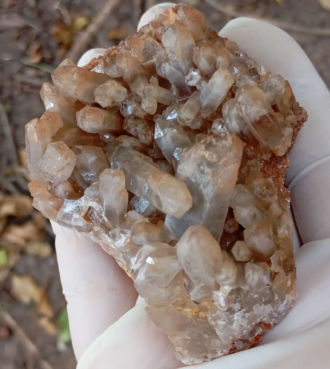 Quartz - Orange River N Cape South Africa