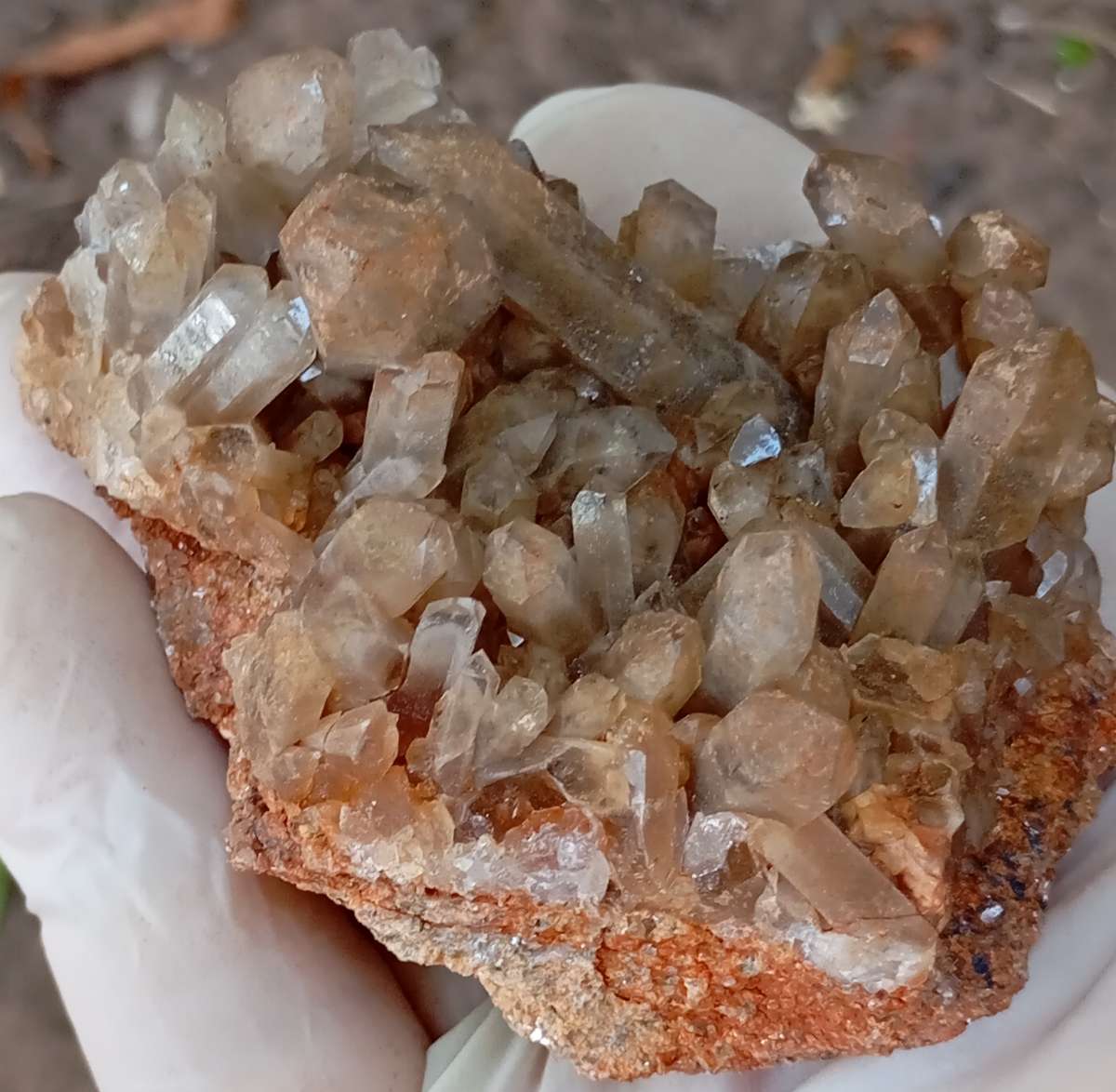 Quartz - Orange River N Cape South Africa