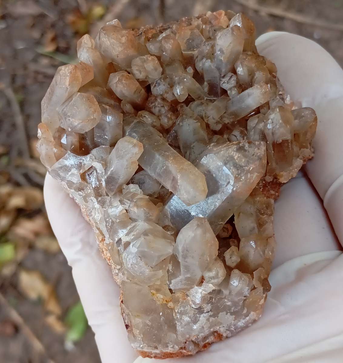 Quartz - Orange River N Cape South Africa