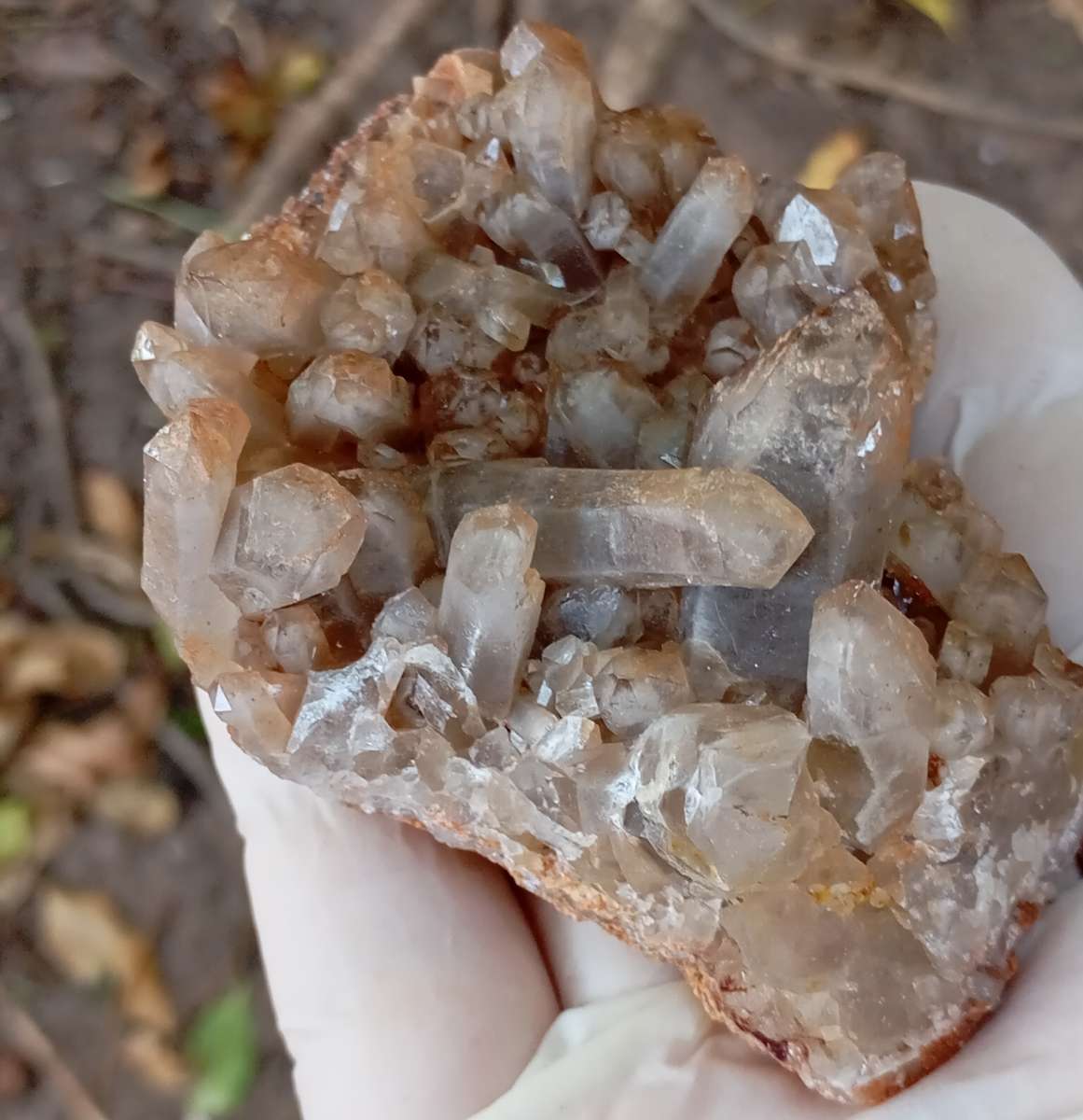 Quartz - Orange River N Cape South Africa